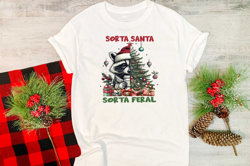 Sorta Santa Sorta Feral Raccoon - Transfer